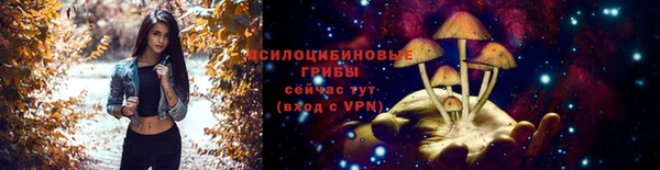 кокаин перу Ельня