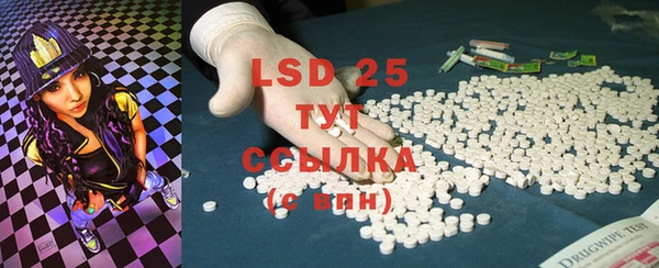ПСИЛОЦИБИНОВЫЕ ГРИБЫ Елизово