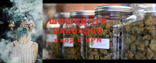 ПСИЛОЦИБИНОВЫЕ ГРИБЫ Елизово