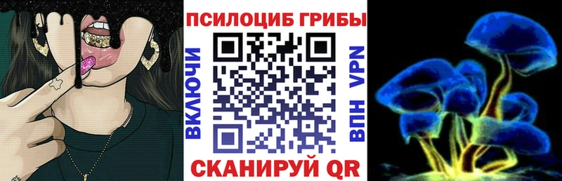 Псилоцибиновые грибы прущие грибы  МЕГА сайт  Кадников 