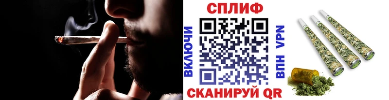 Конопля индика  Кадников 